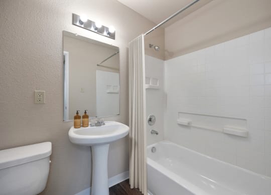 a bathroom with a sink and a tub and a mirror