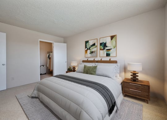 the view of a bedroom with a large bed and a closet