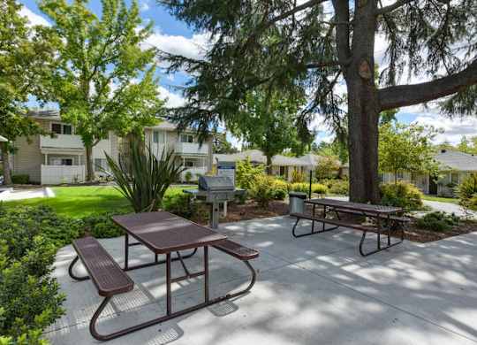 BBQ and Picnic Area with two picnic benches and shade trees at The Renaissance Apartments, California, 95610