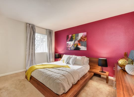 Bedroom with burgandy accent wall behind the headboard. Nightstand and dresser and window with curtains at Addison Ranch Apartments, Petaluma, California