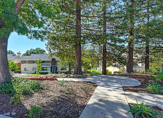 A Tree-lined Walkway at Canyon Terrace Apartments, Folsom, 95630
