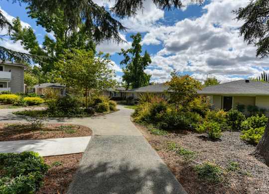 Community Walking Path and Landscaping with Trees, Shrubs and Blue Sky at The Renaissance Apartments, California