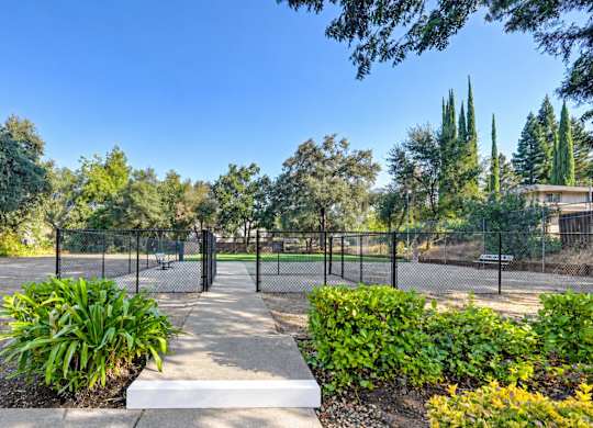 A park with a fence and trees.