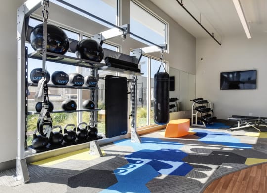 Gym with Wood Floor, Rug, Medicine Balls, Kettle Bells, Punching Bag, Wall Mounted Television, Workout Bench, Mirrors at Addison Ranch Apartments, Petaluma, California