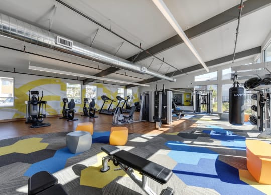Gym with Hardwood Floor, Treadmills, Excercise Bike, Weight Machines, Full Windows with View of Exterior  at Addison Ranch Apartments, Petaluma, 94954