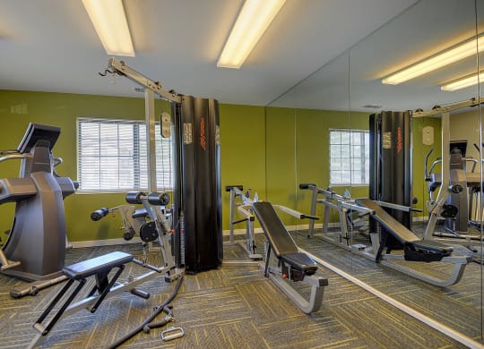 Fitness Center with Mirrors, Green Wall, Treadmills, Ellipticals, and Carpet at Rocklin Manor  Apartments, Rocklin  , California