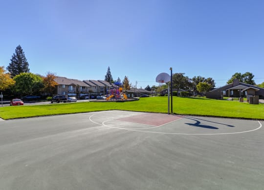 a basketball court in a park with houses in the background