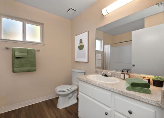 a bathroom with a sink and a toilet and a mirror