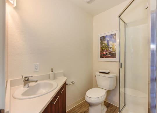 Bathroom with Shower at Canyon Terrace Apartments, California, 95630