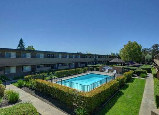 Outdoor Swimming Pool, Apartment Exteriors,Grass, and Bushes  at Olympus Park Apartments, California