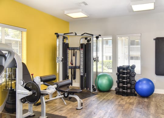 Renaissance Park on-site fitness center with free weights and weight machine at Renaissance Park Apartments, Davis