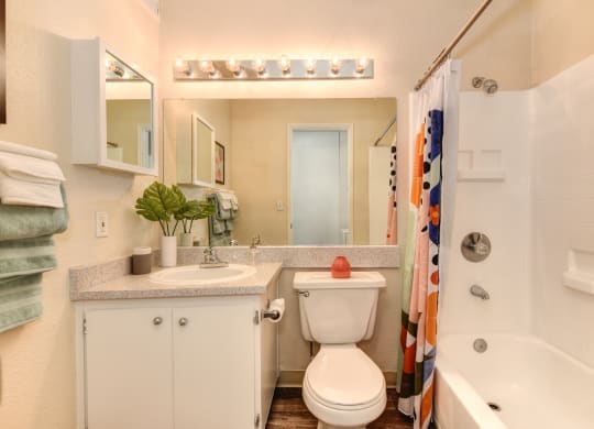 Model home bathroom with a sink toilet and bathtub at Renaissance Park Apartments, California, 95618