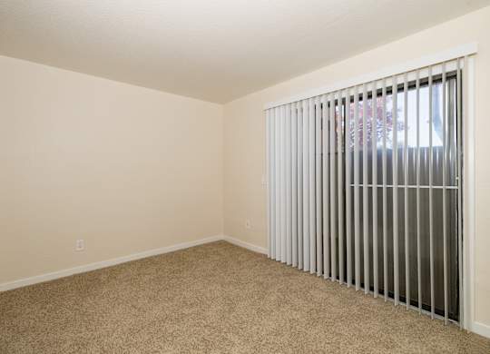 A room with a carpeted floor and a window with vertical blinds.