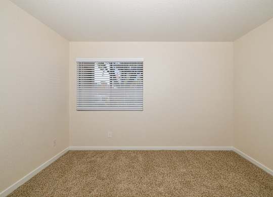 A room with a carpeted floor and a window with blinds.