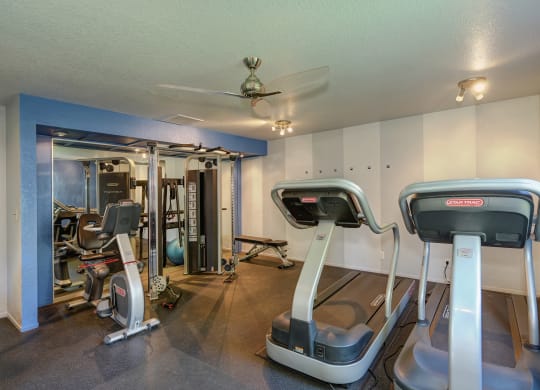 Community fitness center on-site with treadmills, cardio machines and bike. There is also a weight system. A few walls inside the fitness center are painted blue. at Rush River Apartments, Sacramento, 95831