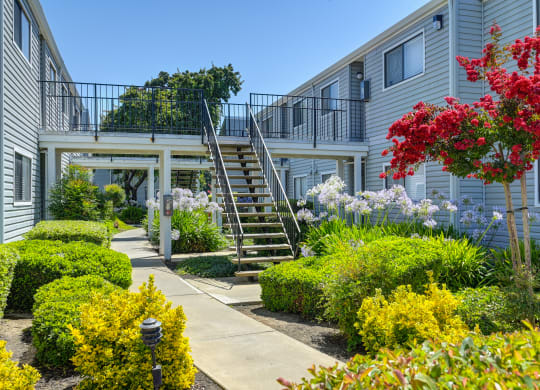 a staircase leading to an apartment building with a garden in front of it at Silverstone Apartments, Davis