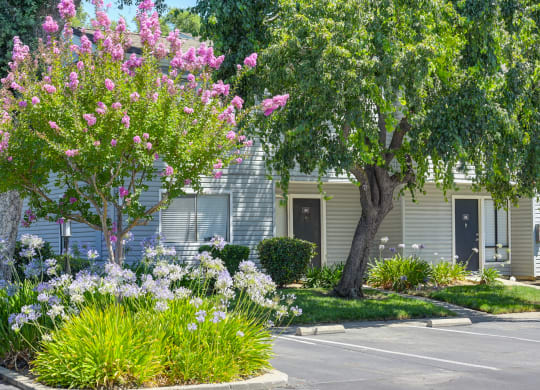 Community Exterior at Silverstone Apartments, Davis, California