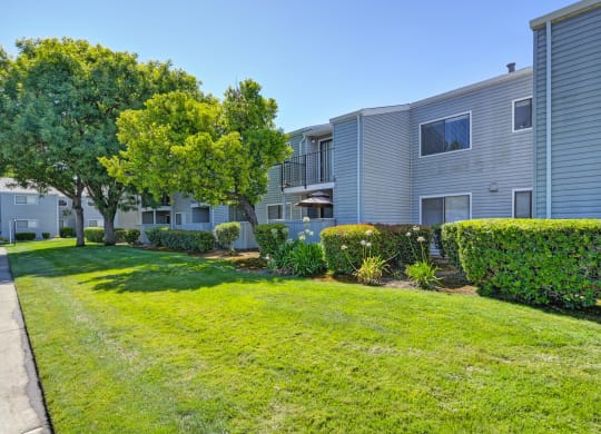 Lawn at Silverstone Apartments, Davis, California