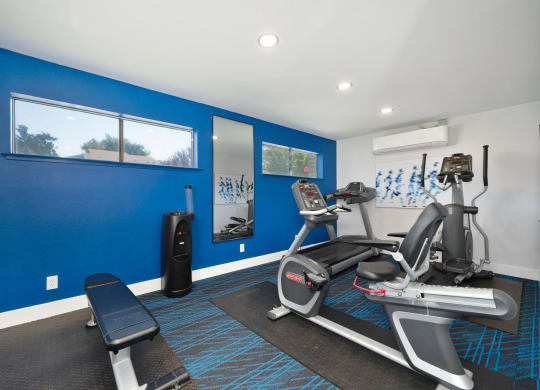 Fitness Center with Yoga Balls, Hardwood Inspired Floor, Treadmills, Ellipticals, and Exercise Bike at Silverstone Apartments, Davis, CA