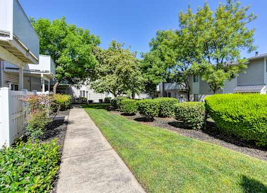 Community Walk Path with a grassy area and trees .  Apartment buildings on both sides of the walk path.at The Renaissance Apartments, Citrus Heights California
