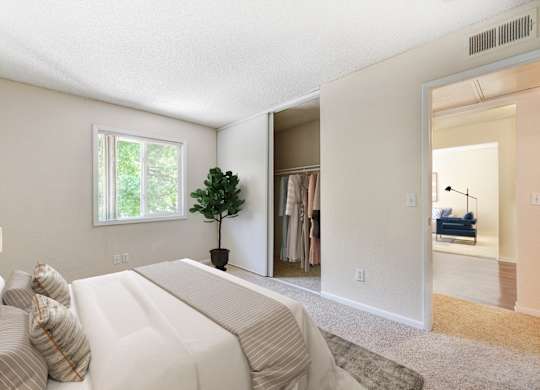 A living room with a white couch and a small tree in a black pot.