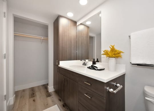 the preserve at ballantyne commons modern bathroom with white sink and wood cabinets  at Track 281 Apartments, Sacramento, CA