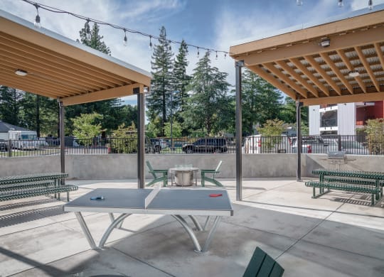 a picnic area with a table and chairs under a canopy