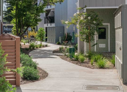 a walkway between two buildings with trees and plants