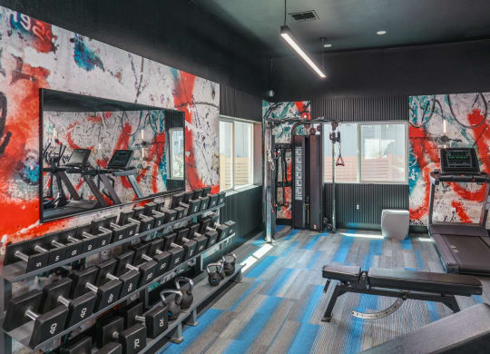 a fitness room with a wall of dumbbells and a mirror