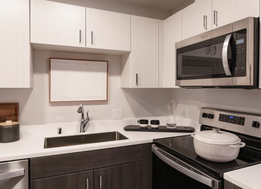 a kitchen with a stove and a microwave and a sink