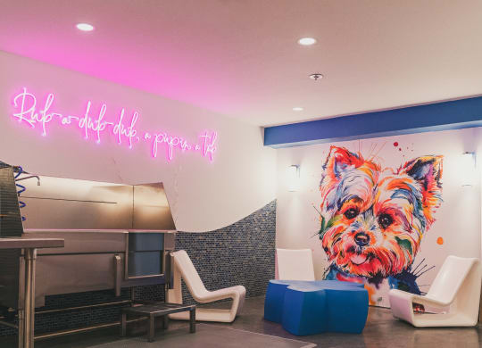 a painting of a dog on a wall in a hospital lobby