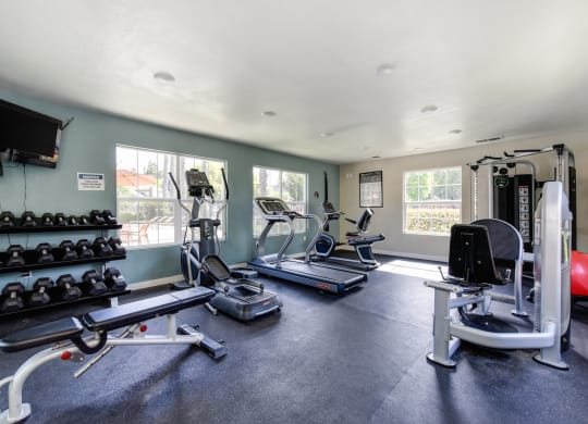 Fitness center with treadmill, cardio machines, free weights and teal blue accent wall at Vineyard Terrace Apartments, California 94558