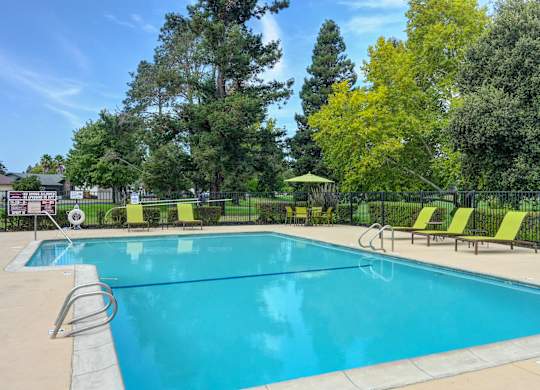 A large swimming pool surrounded by trees and lounge chairs at Vineyard Terrace Apartments, California