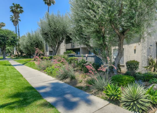 Beautiful Walking Trails at Twenty 2 Eleven Apartment Homes, Canoga Park, CA