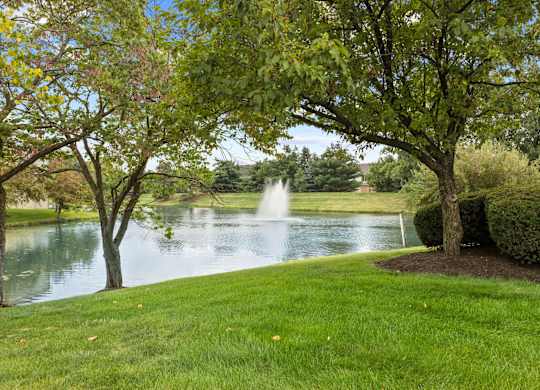 Green Spaces With Mature Trees at Lakes of Carmel Apartments, Carmel, IN