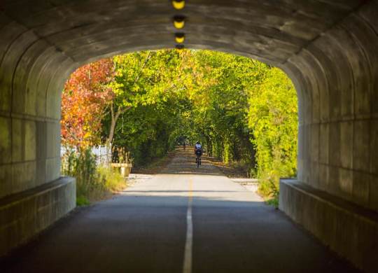 Tunnel into the Green Park at The Retreat at Carmel, Carmel
