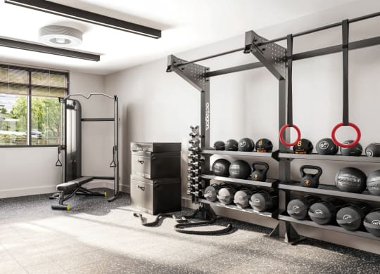 a gym with weights and other equipment in a room with a window at Link Apartments® CYKEL Apartments, North Carolina, 28208