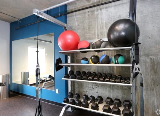 Free Weights In Gym at Link Apartments® Canvas, Atlanta, 30312