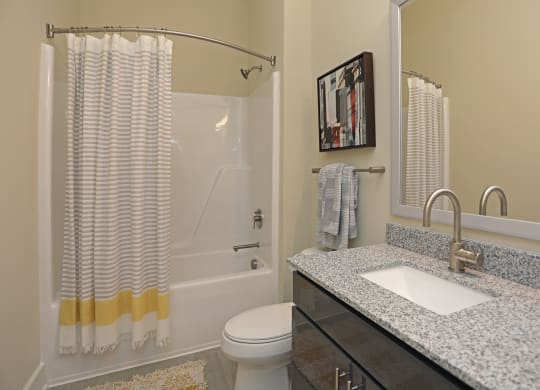 Luxurious Bathroom at Link Apartments Innovation Quarter, Winston Salem, NC