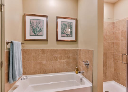 Interiors Spacious Bathrooms at LangTree Lake Norman Apartments, Mooresville, 28117
