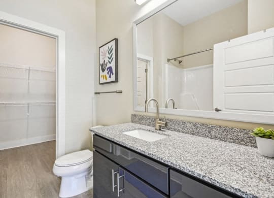 a bathroom with a sink and a toilet and a mirror at Link Apartments Innovation Quarter, Winston Salem