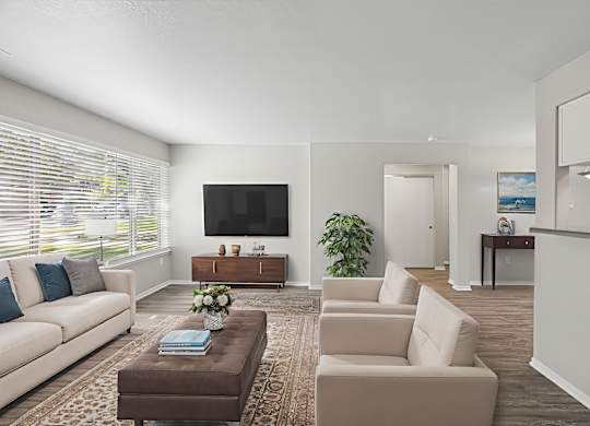A living room with a couch, a coffee table, and a television.