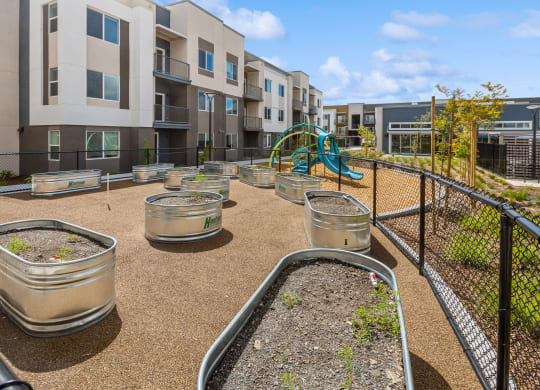 Community garden at Brix 325