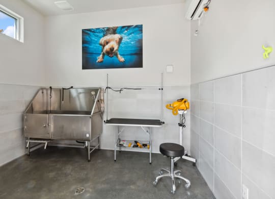 Dog grooming station at Brix 325