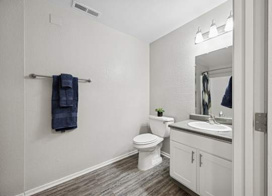 A bathroom with a toilet, sink, and a mirror.