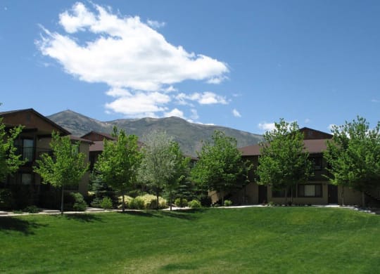 a group of houses with trees and mountains in the background