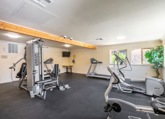 the gym with treadmills and other exercise equipment at 1861 blissful heights apartments