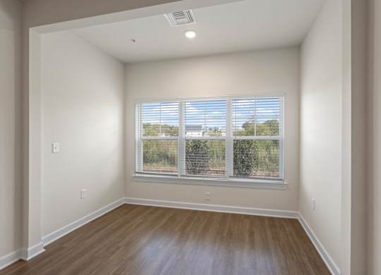 Peaks of Lexington Apartments living room and windows