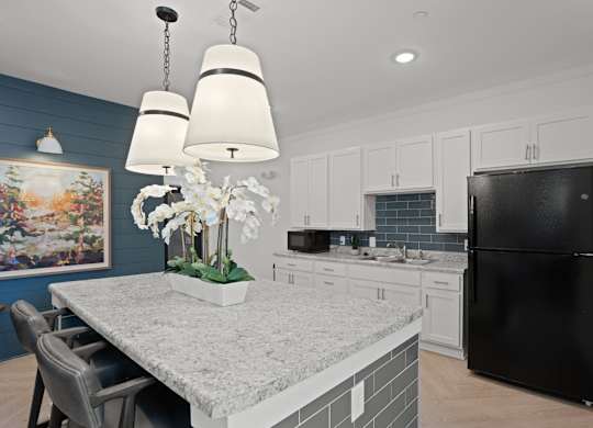 Ovata at Reedy Creek Senior Apartments in Charlotte NC community kitchen with modern appliances
