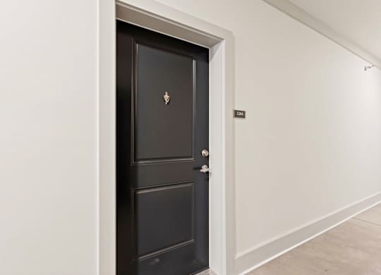 Peaks of Lexington Apartments Black Door